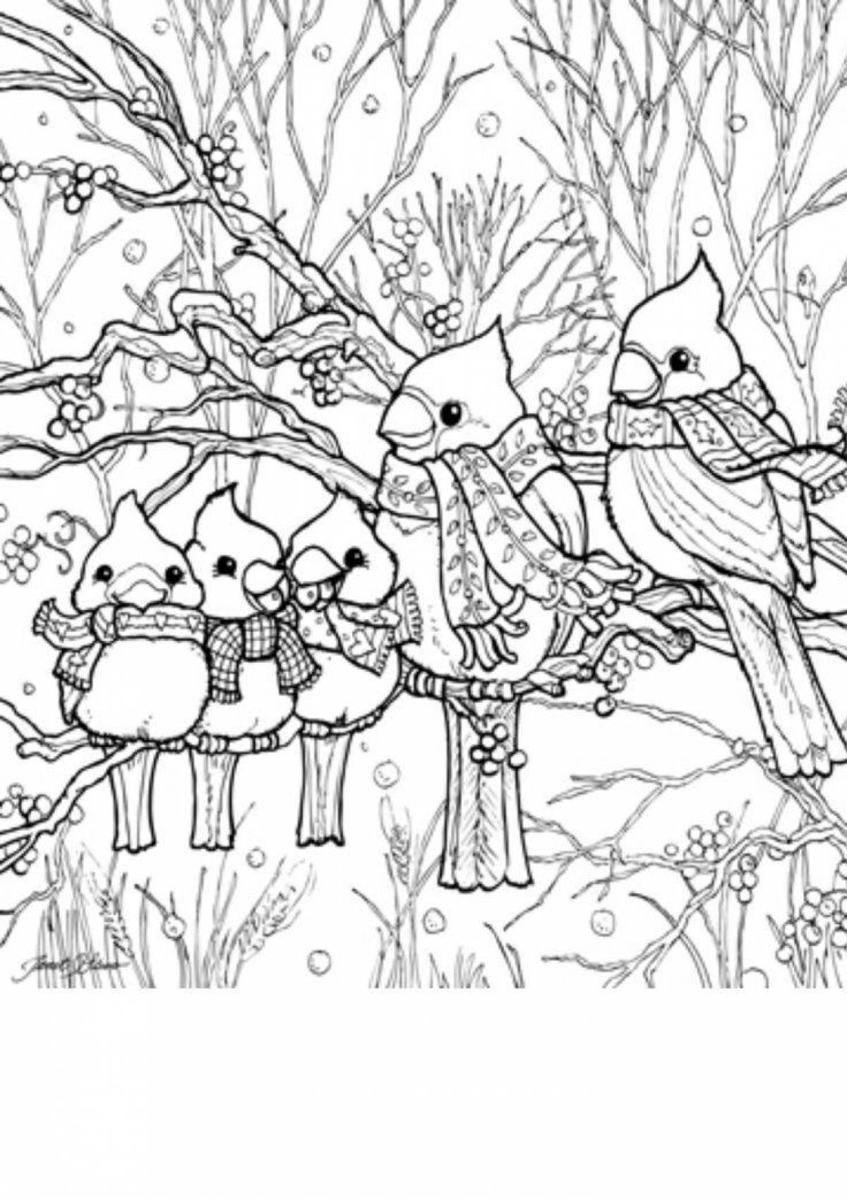 Shiny winter birds coloring page