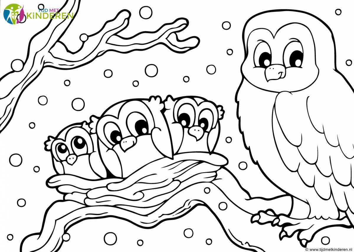 Fine winter birds coloring page