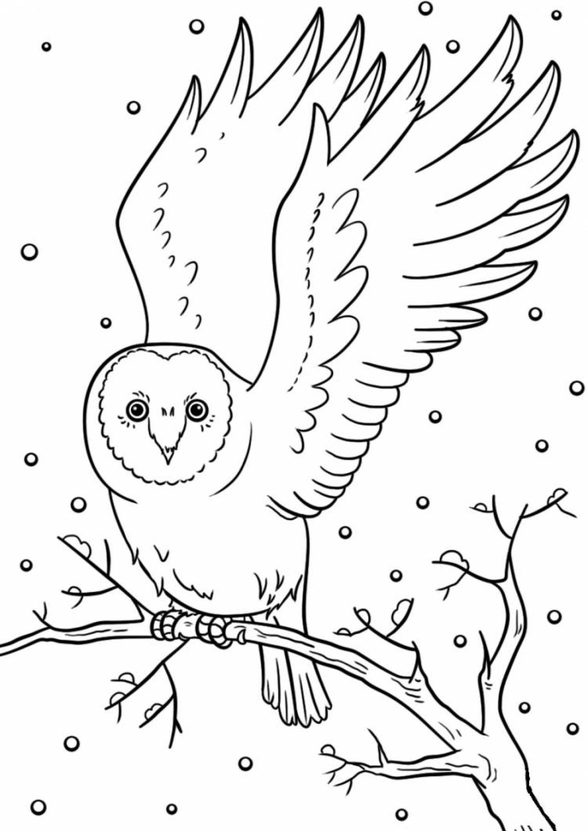 Fancy winter birds coloring page