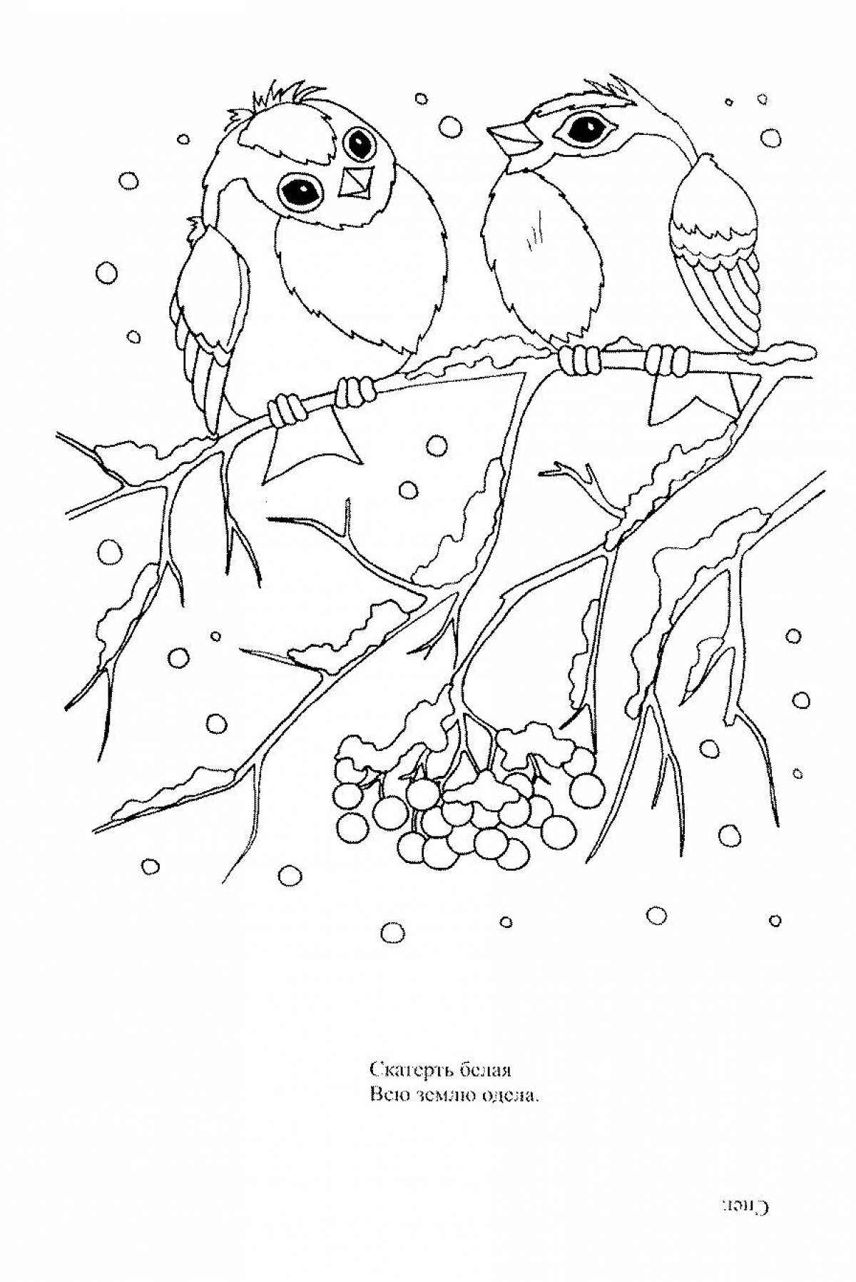 Coloring page fluffy winter birds