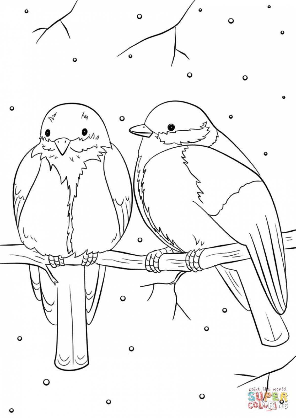 Vivid winter birds coloring page