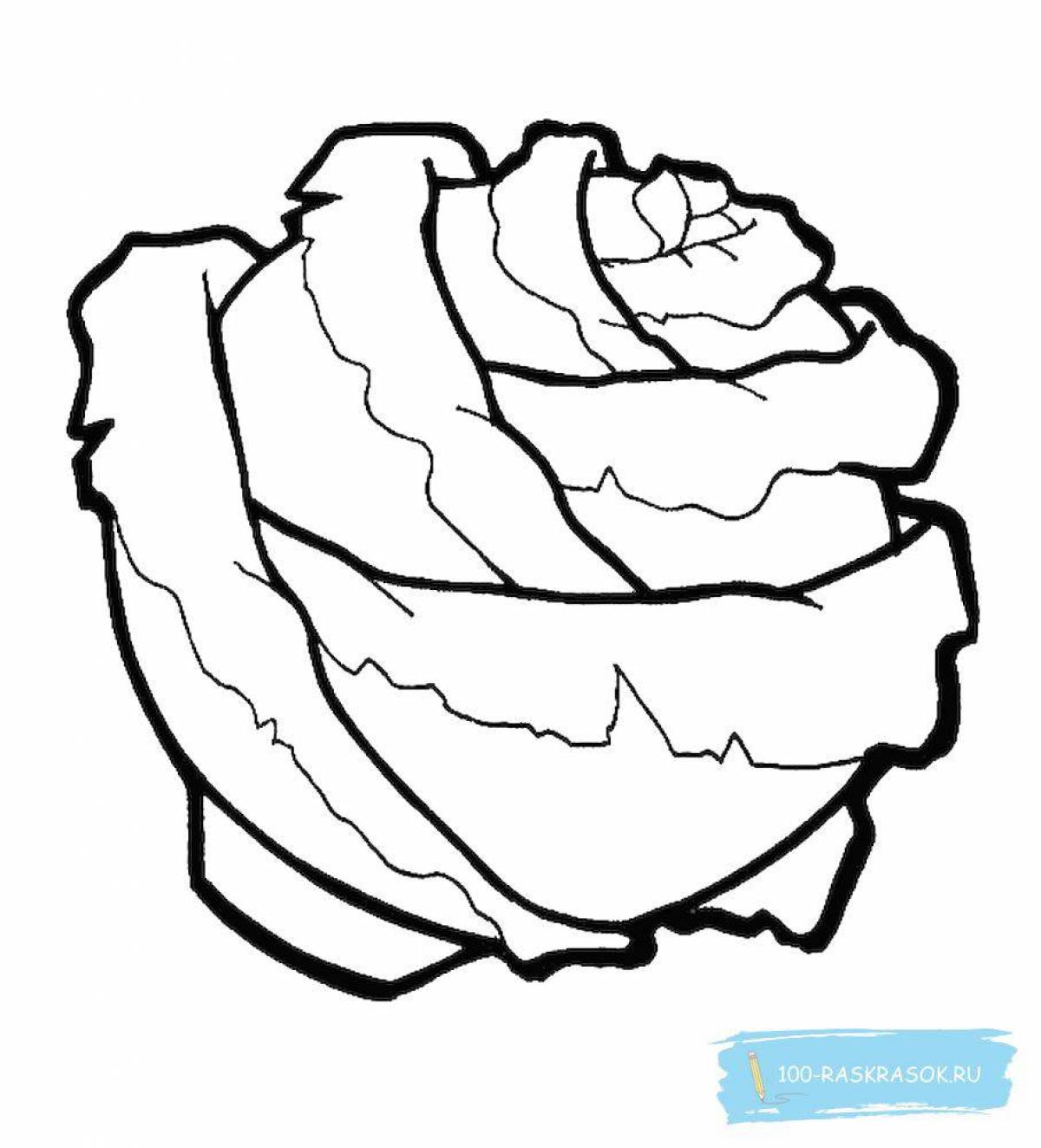 Colorful cabbage coloring page for kids