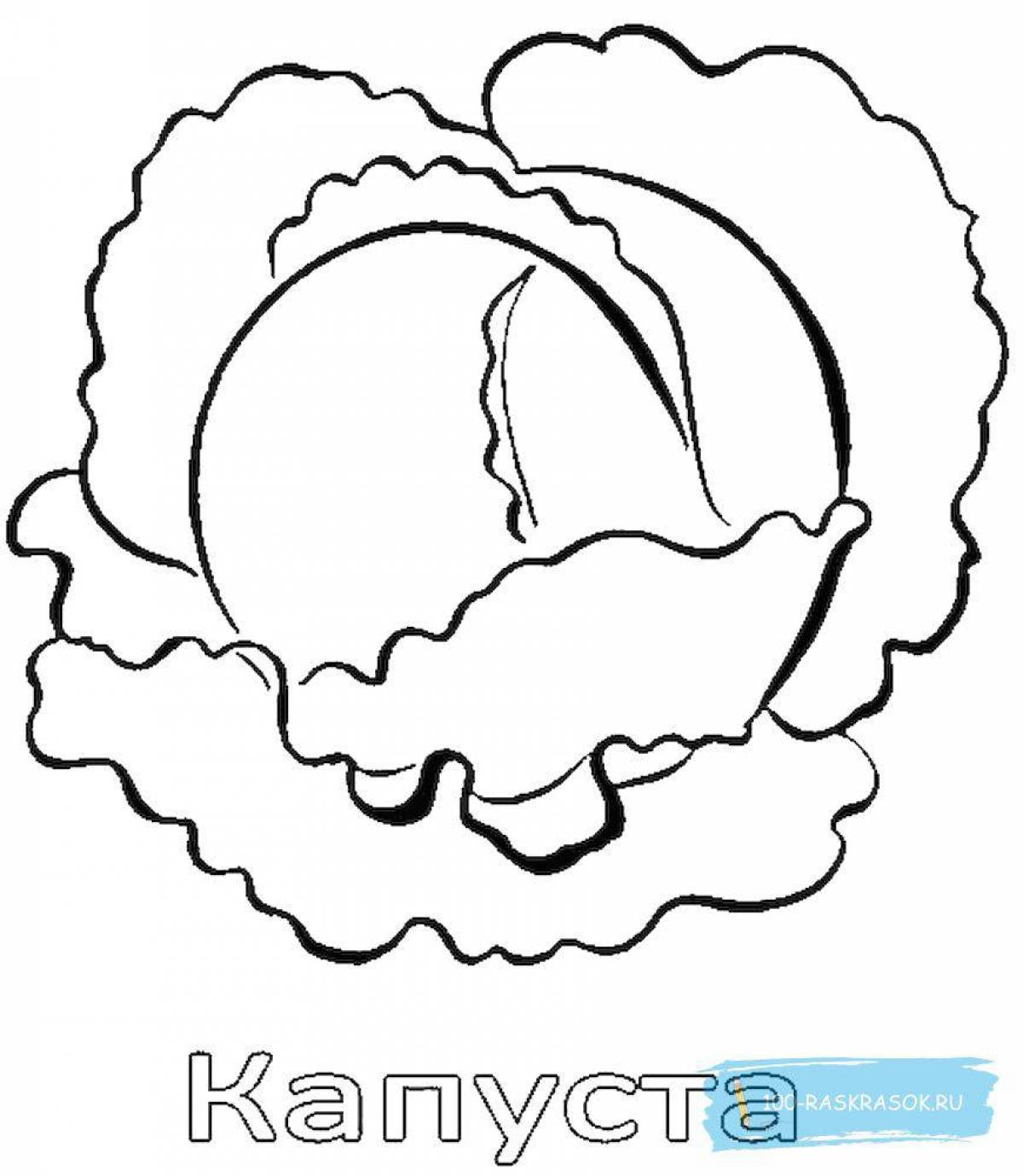 Playful cabbage coloring page for kids