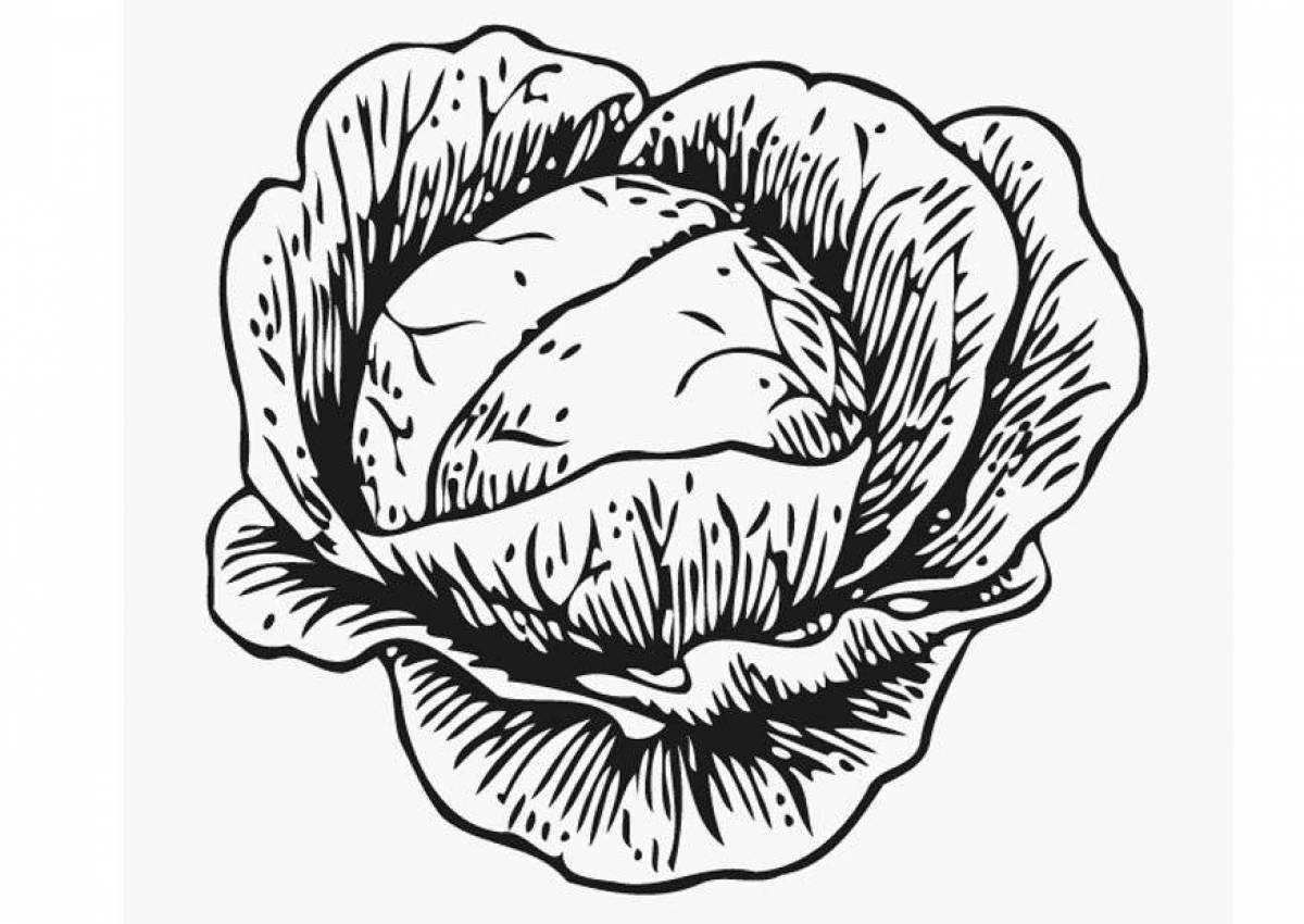 Fabulous cabbage coloring book for kids