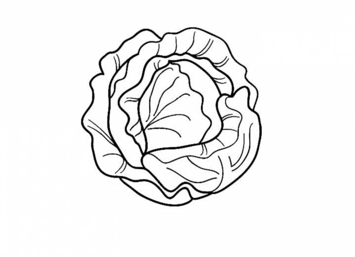 Delightful cabbage coloring book for kids