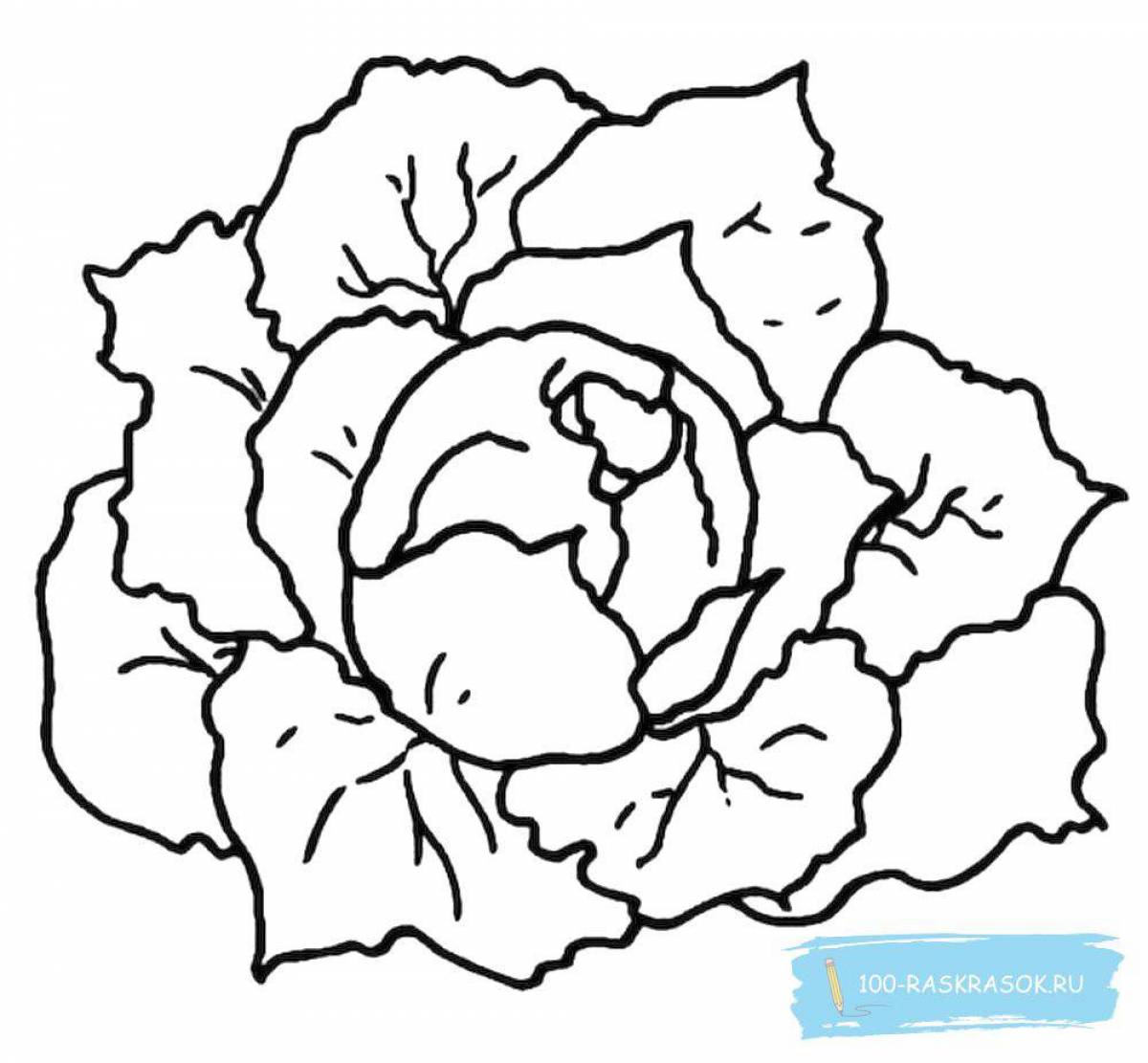Fun coloring cabbage for kids