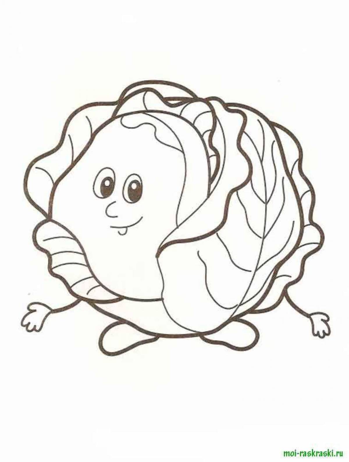 Colorful cabbage coloring book for kids