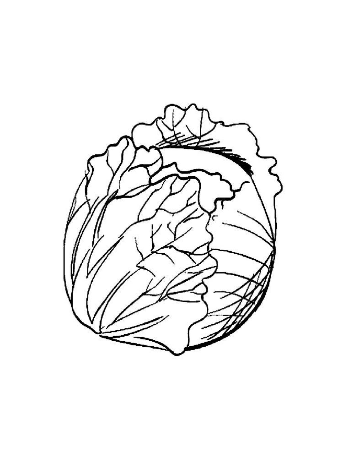 Cauliflower coloring pages for kids