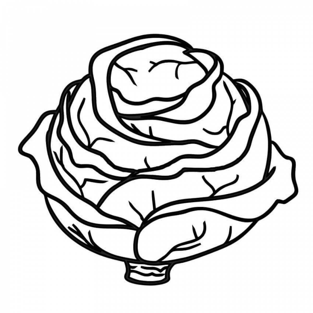 Color-frenzy cabbage coloring page for kids