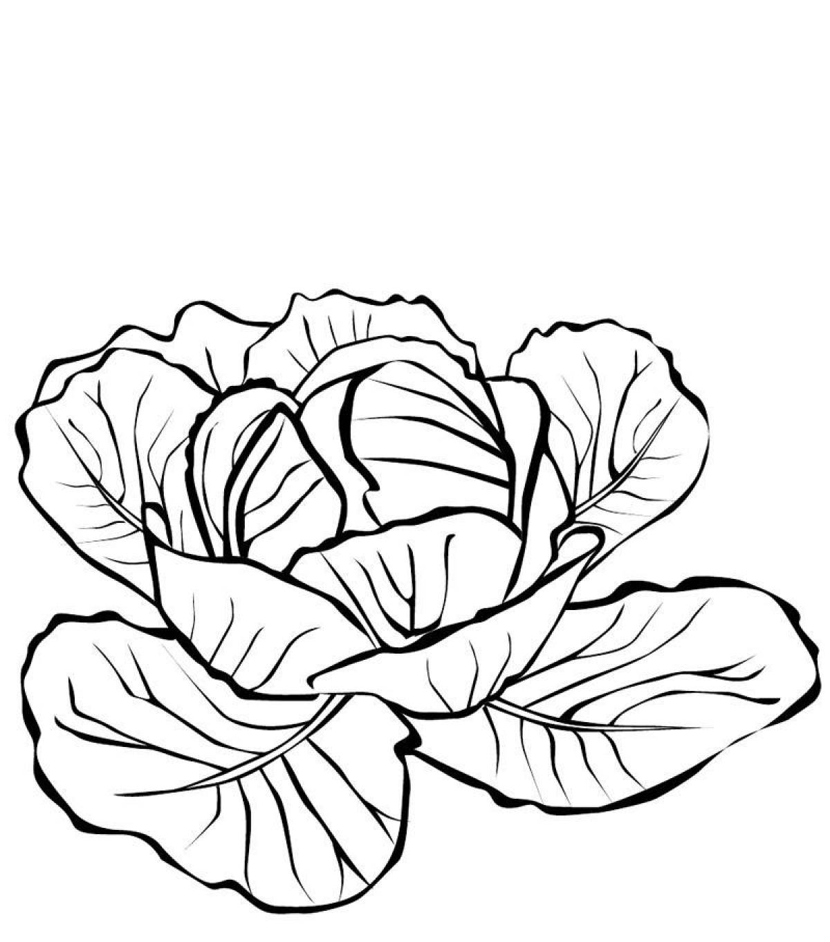 Colorful explosive cabbage coloring page for kids