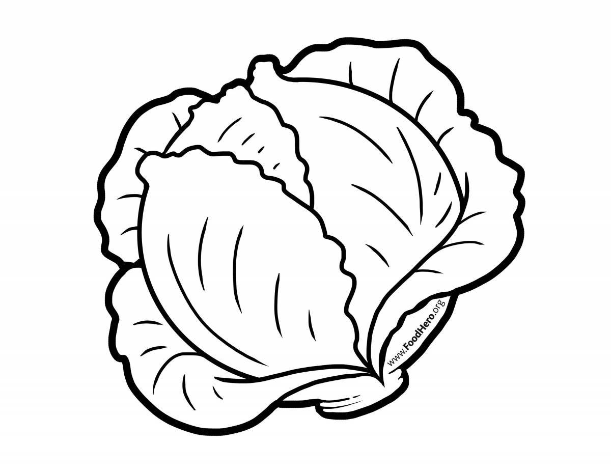 Coloring cabbage for kids