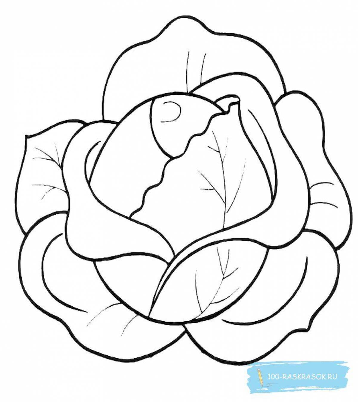 Children's colorful cabbage coloring book