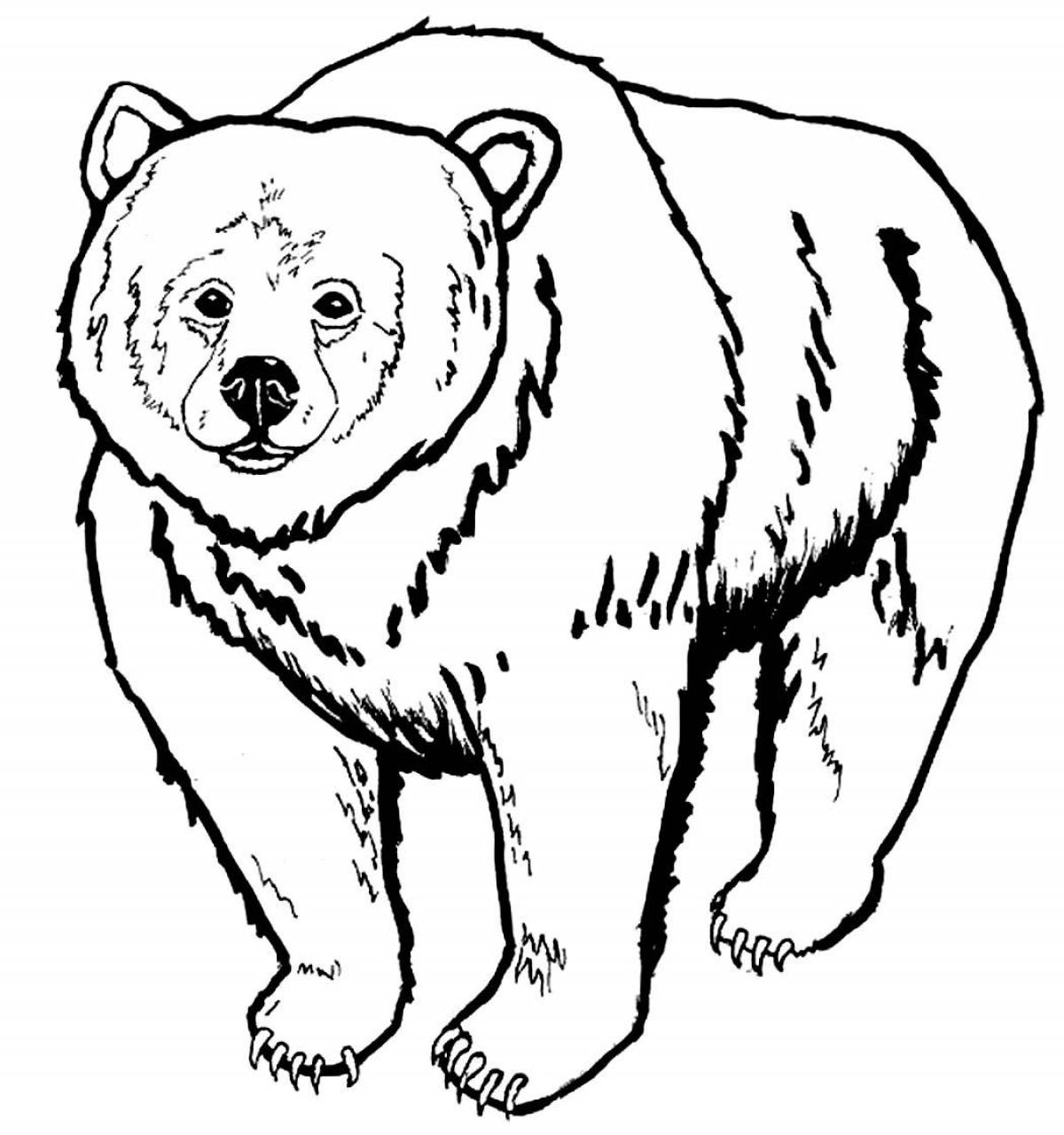Cute bear coloring for kids