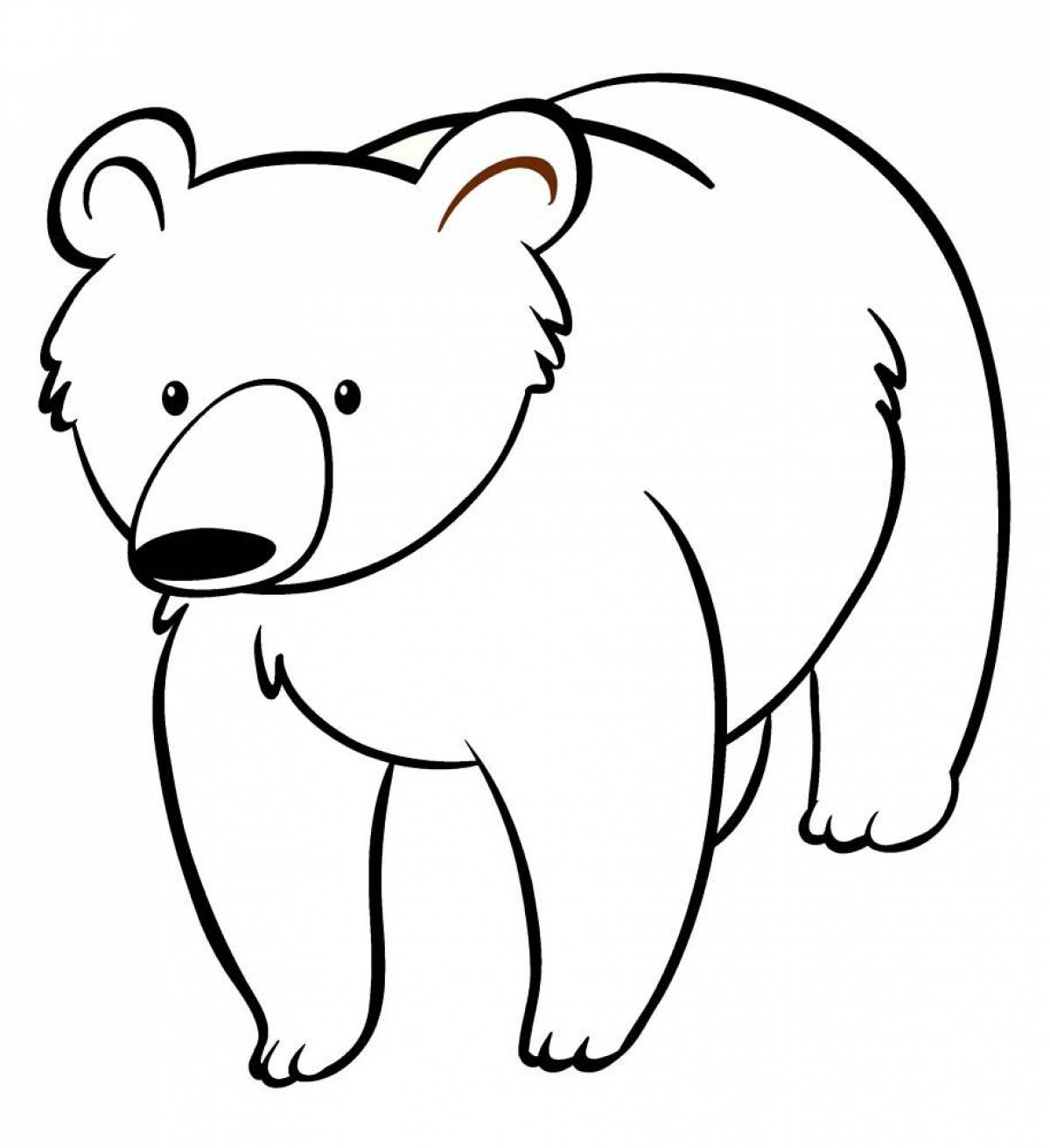Coloring book fluffy bear for kids