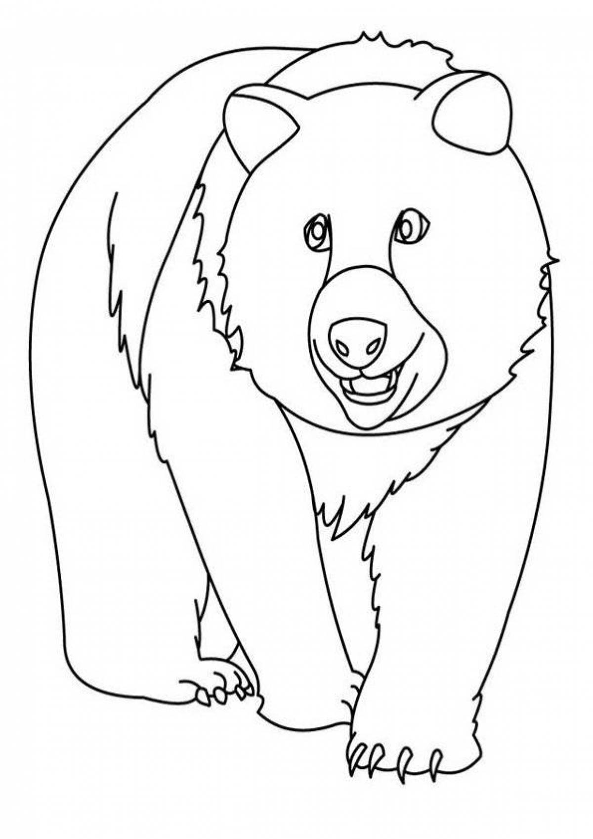 Раскраска озорной медведь для детей
