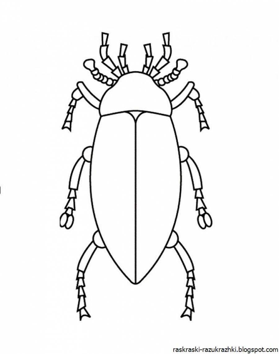 раскраска жук для детей