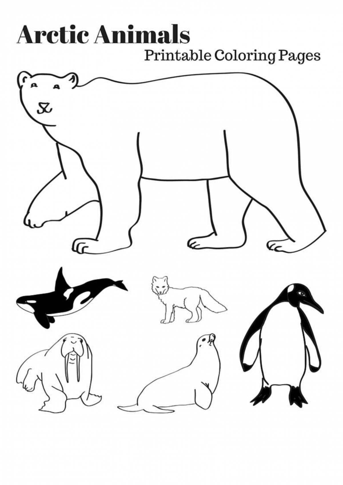 Рисование животные Антарктиды для детей