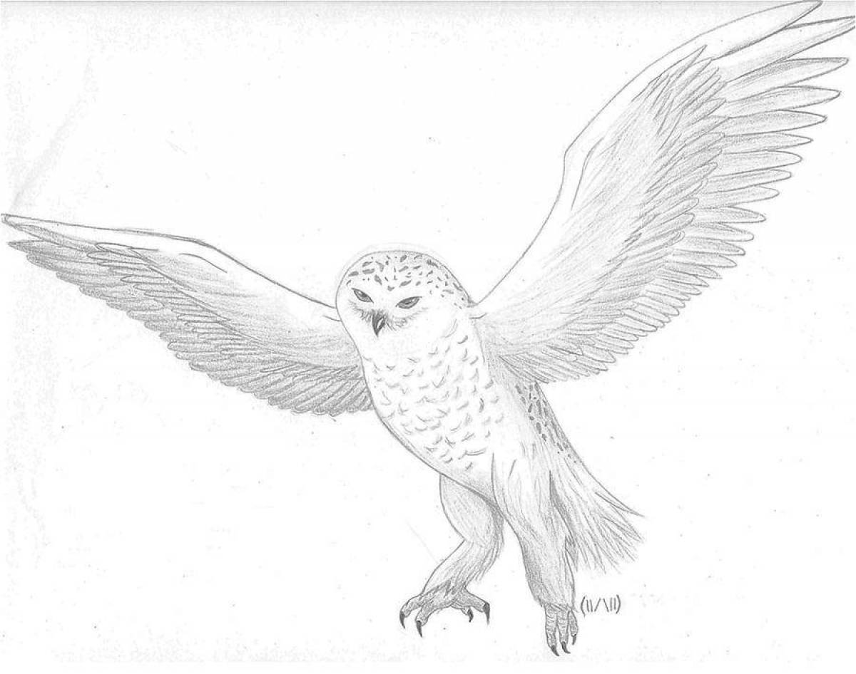 Majestic snowy owl coloring page