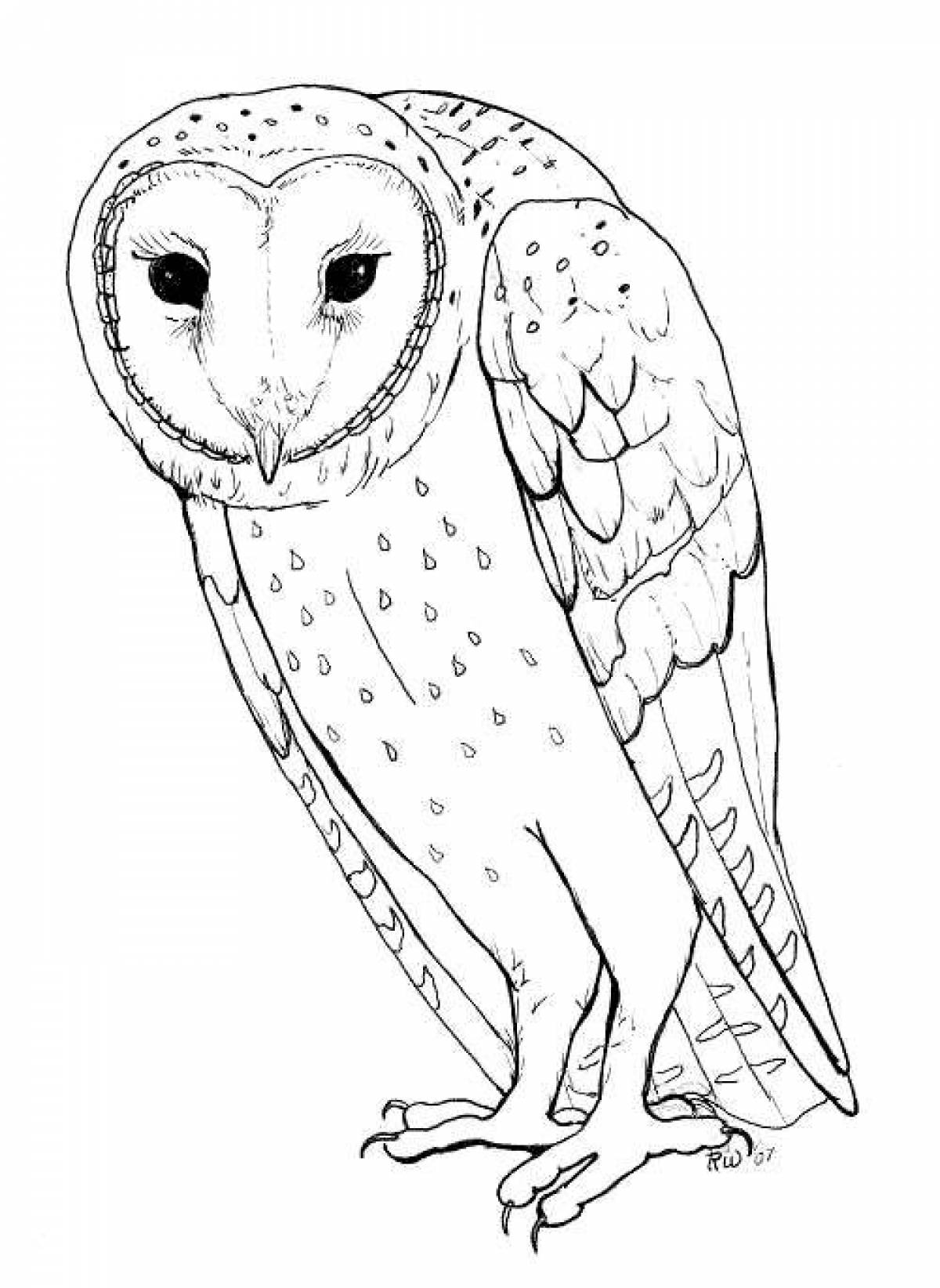 Coloring snowy owl