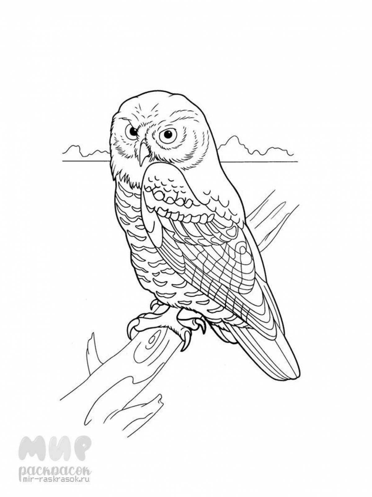 Coloring book big snowy owl