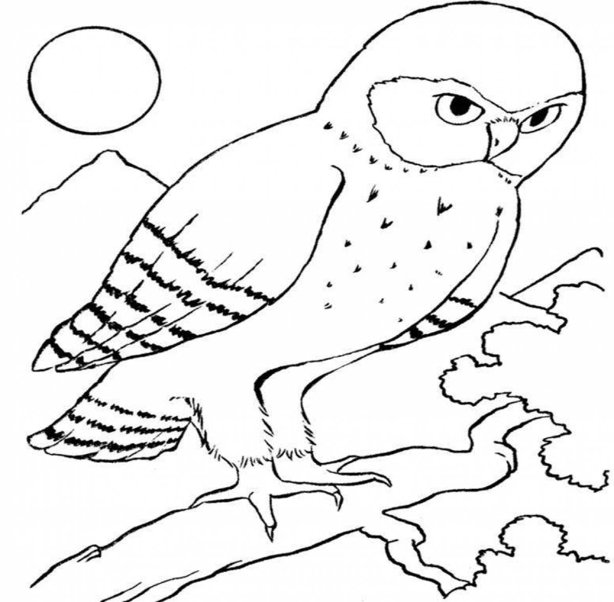 Блестящая страница раскраски белая сова