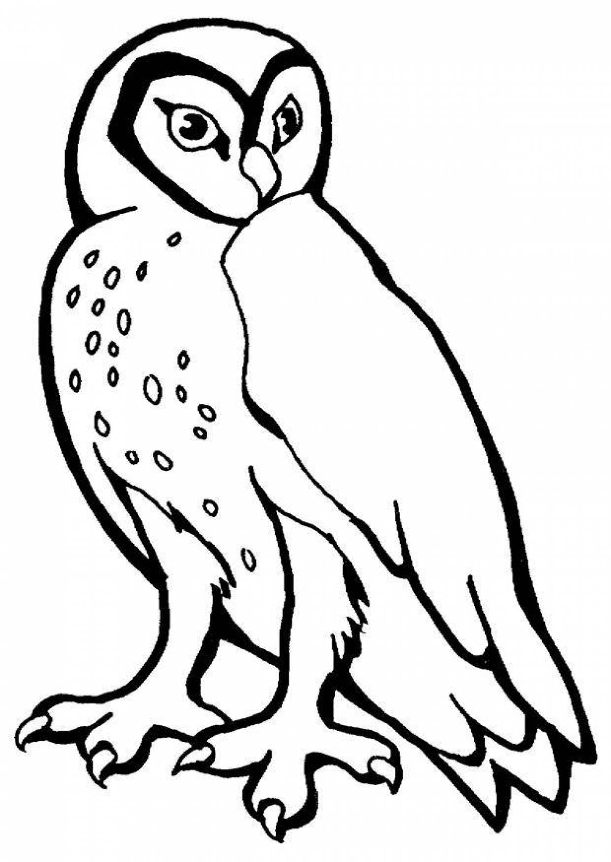 Coloring book bright snowy owl