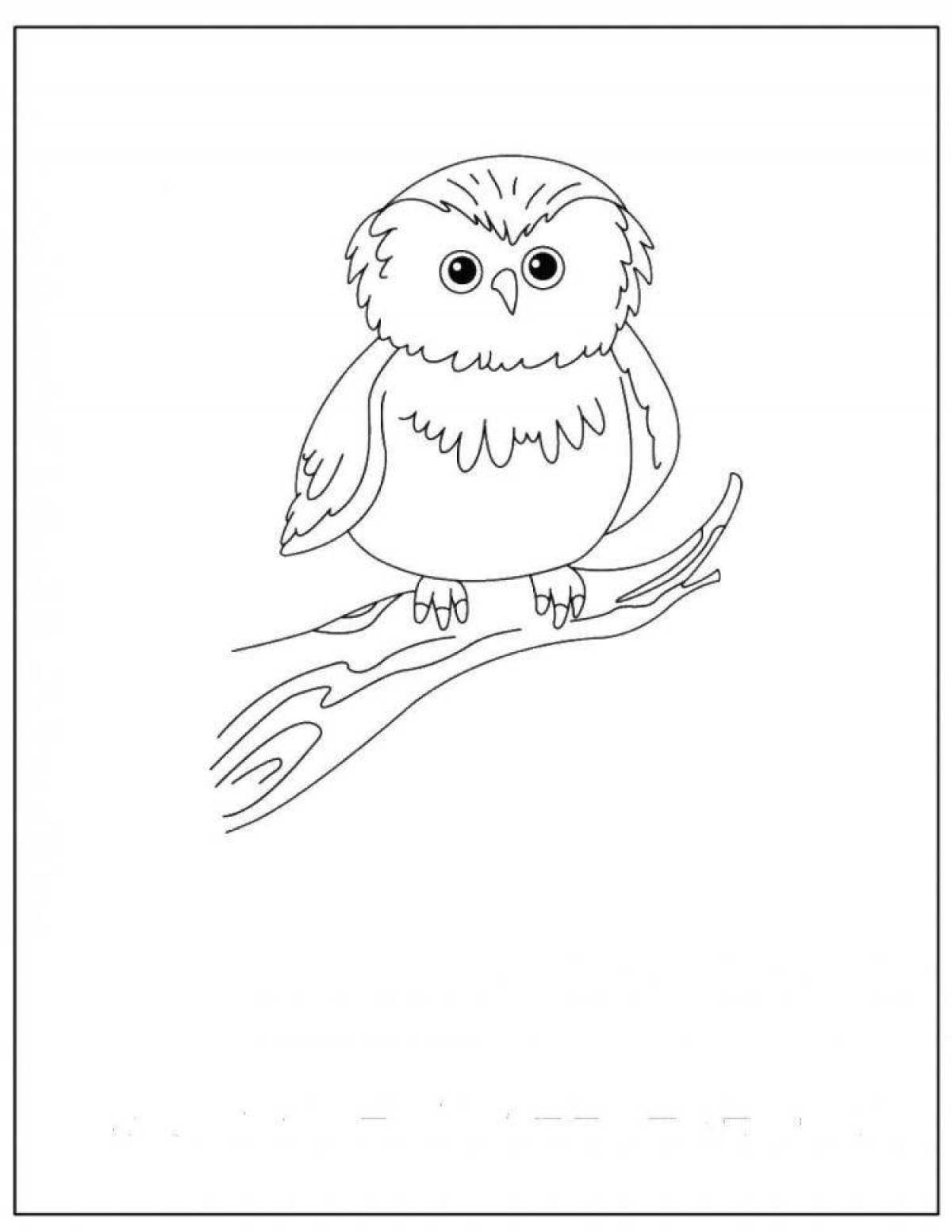 Violent snowy owl coloring book