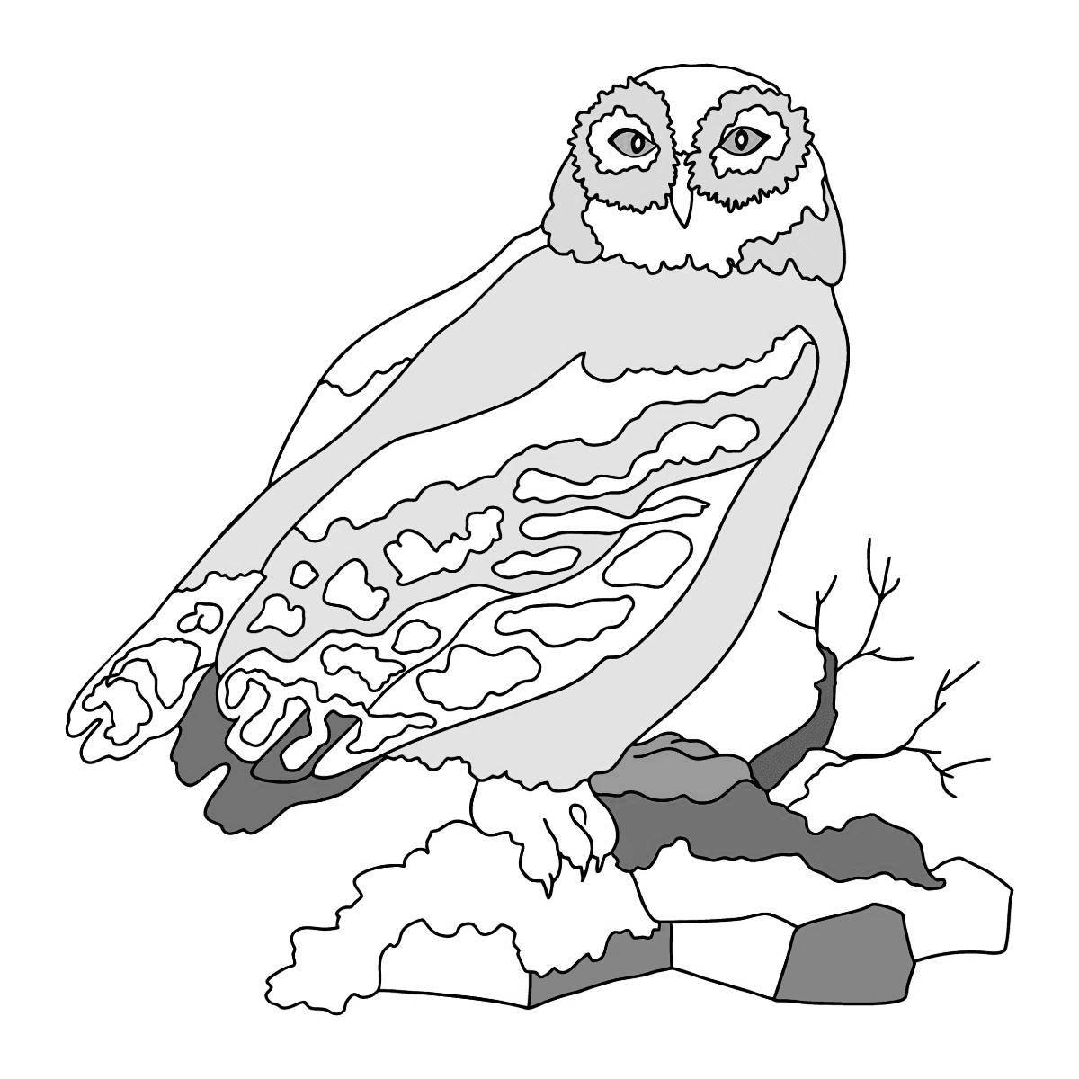Adorable white owl coloring page