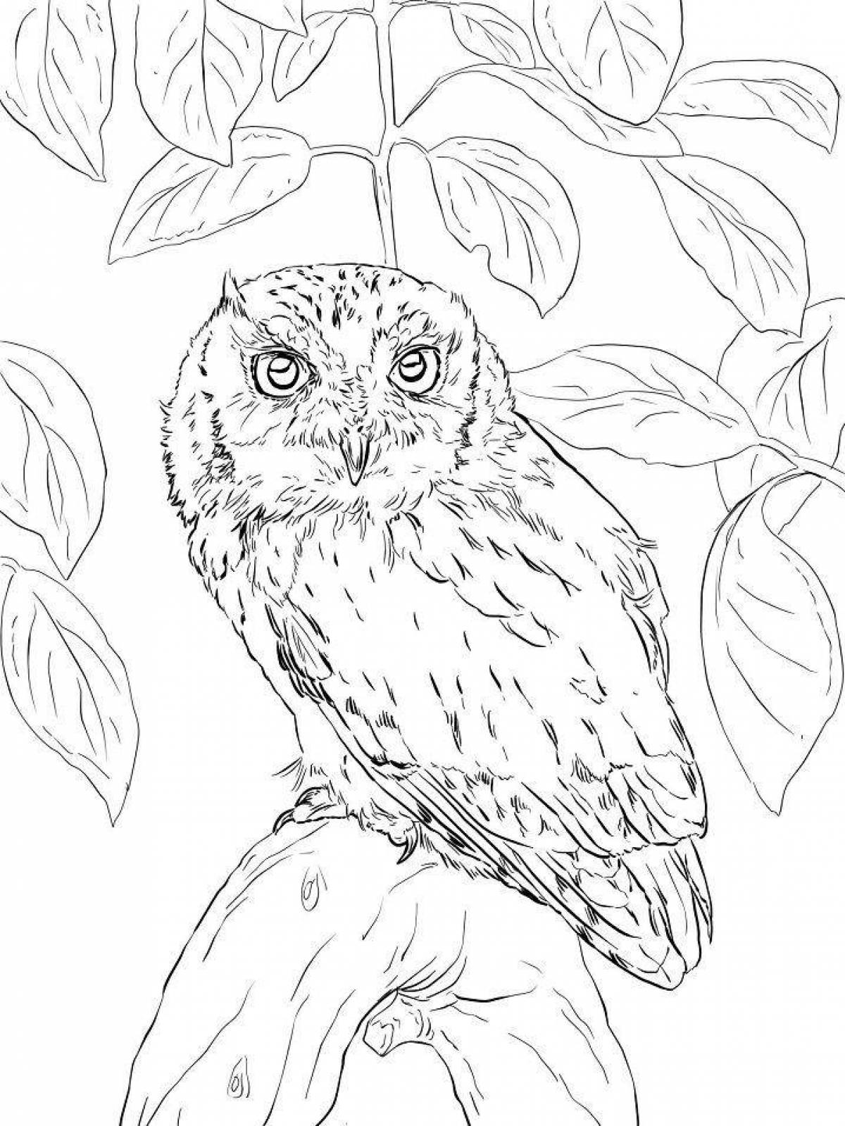 Flawless Snowy Owl coloring page