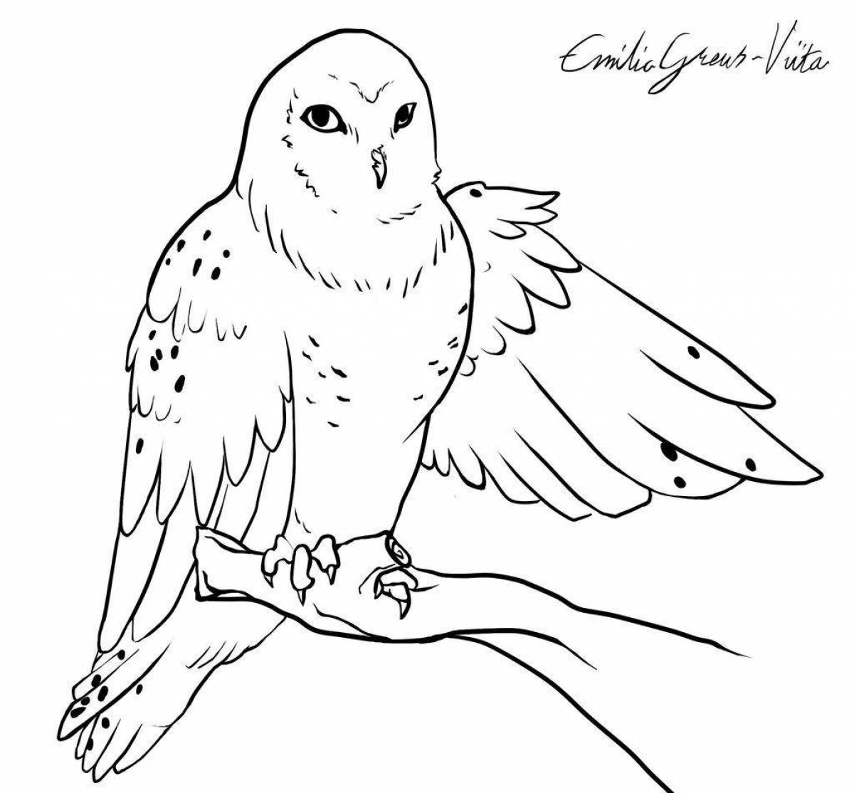 Coloring book gorgeous snowy owl