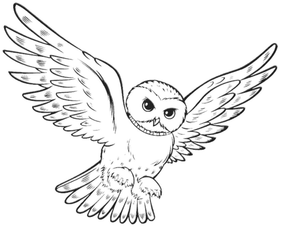 Royal snowy owl coloring page