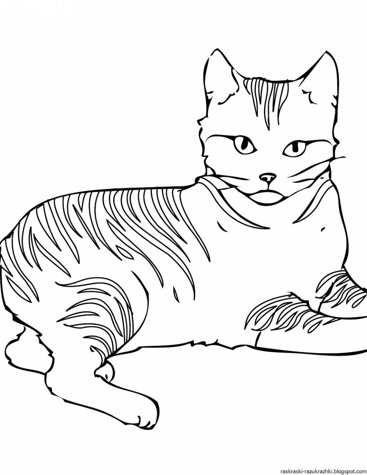 Раскраска красочная кошка