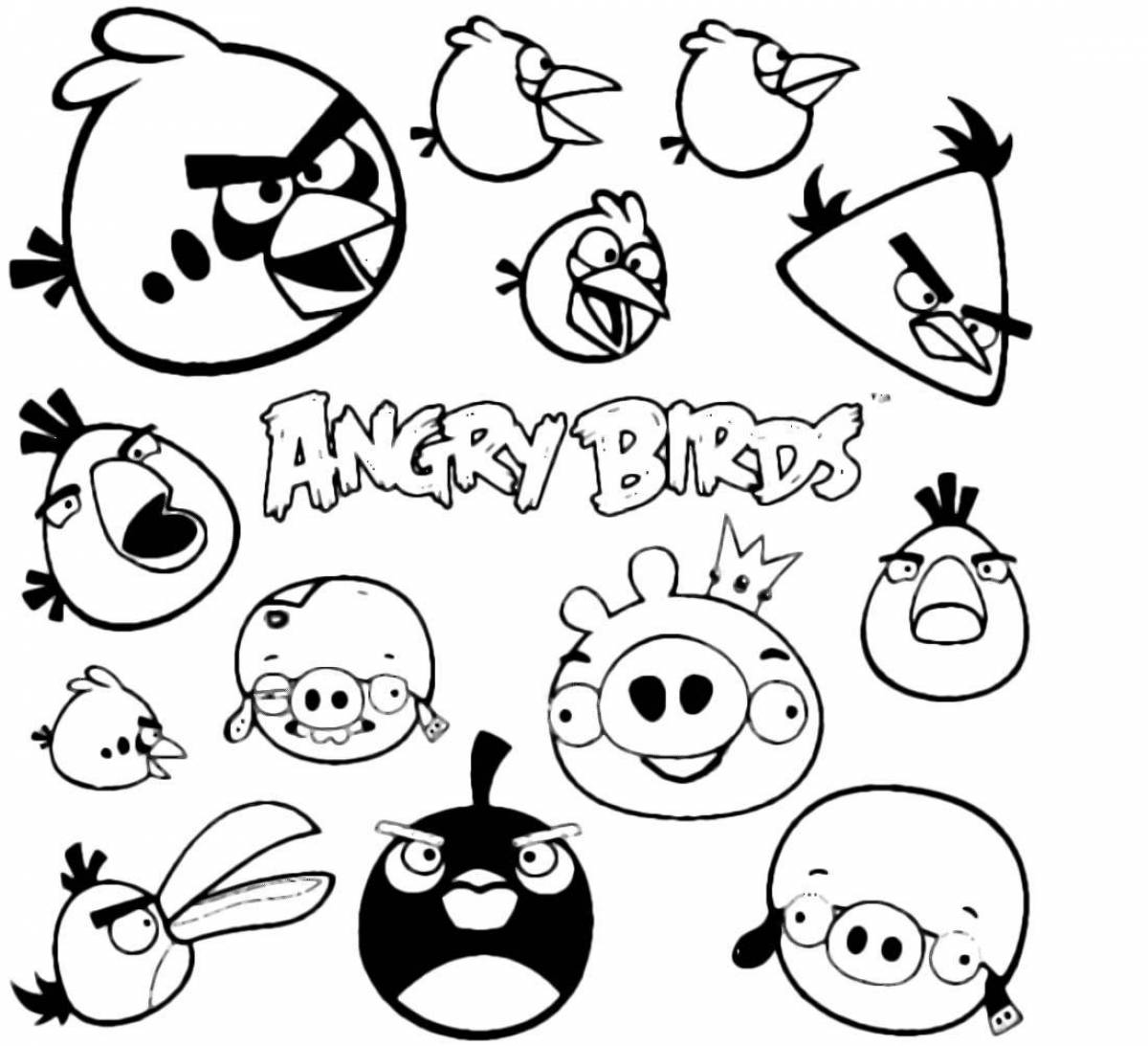 Angry birds #2