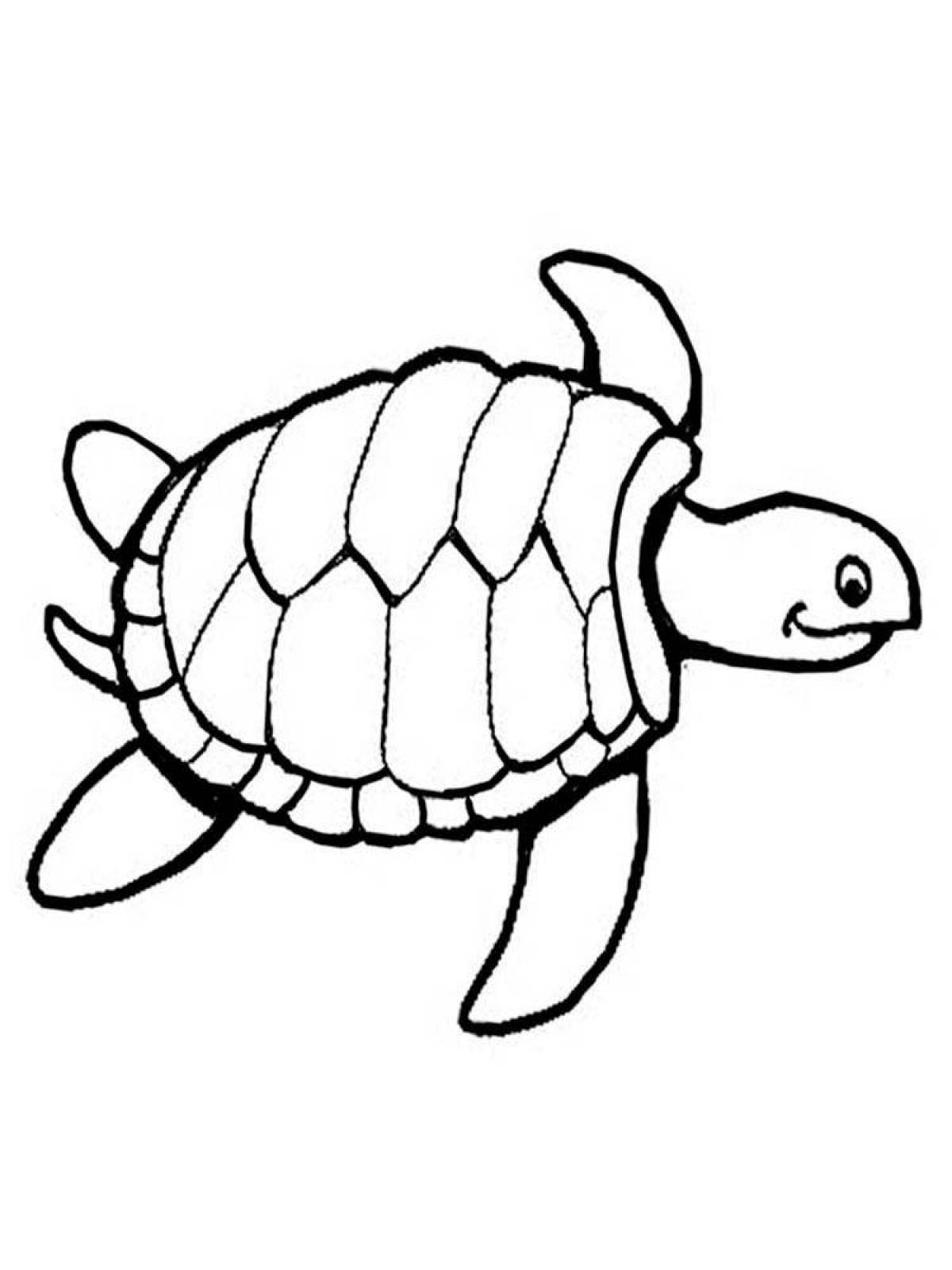 Веселая черепаха-раскраска для детей
