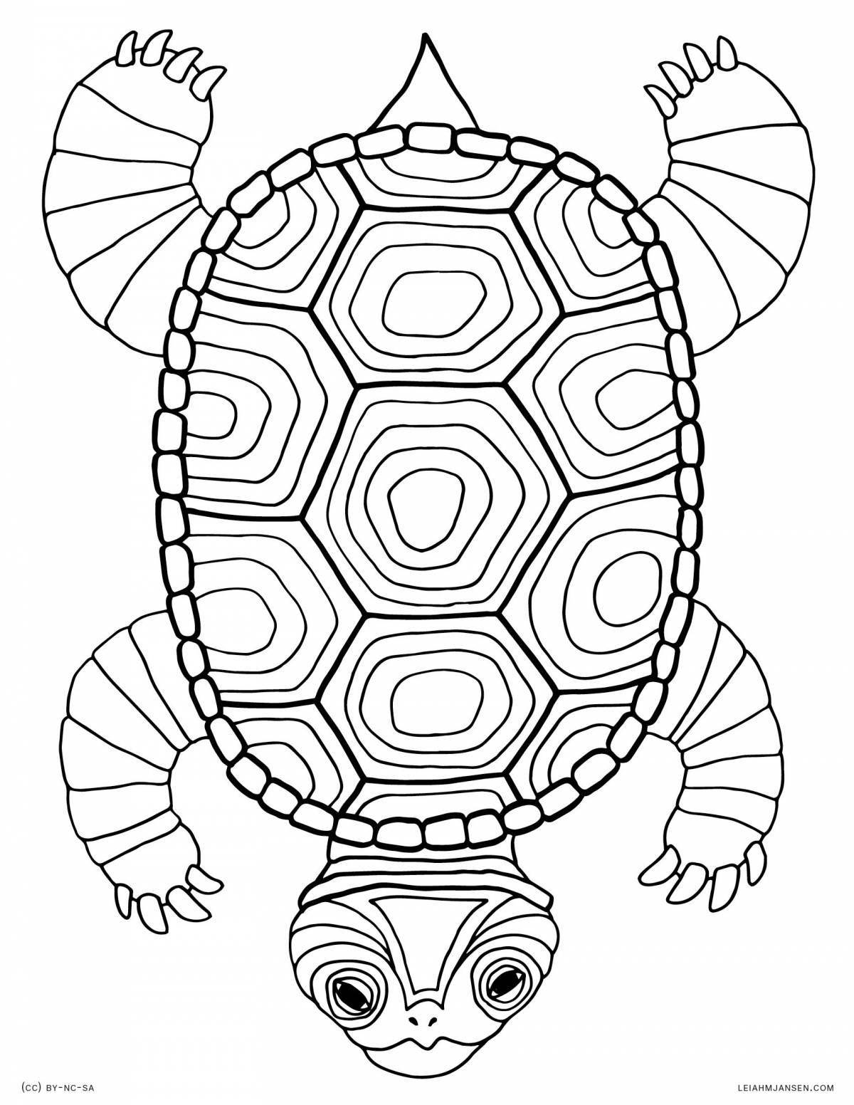 Причудливая черепаха-раскраска для детей