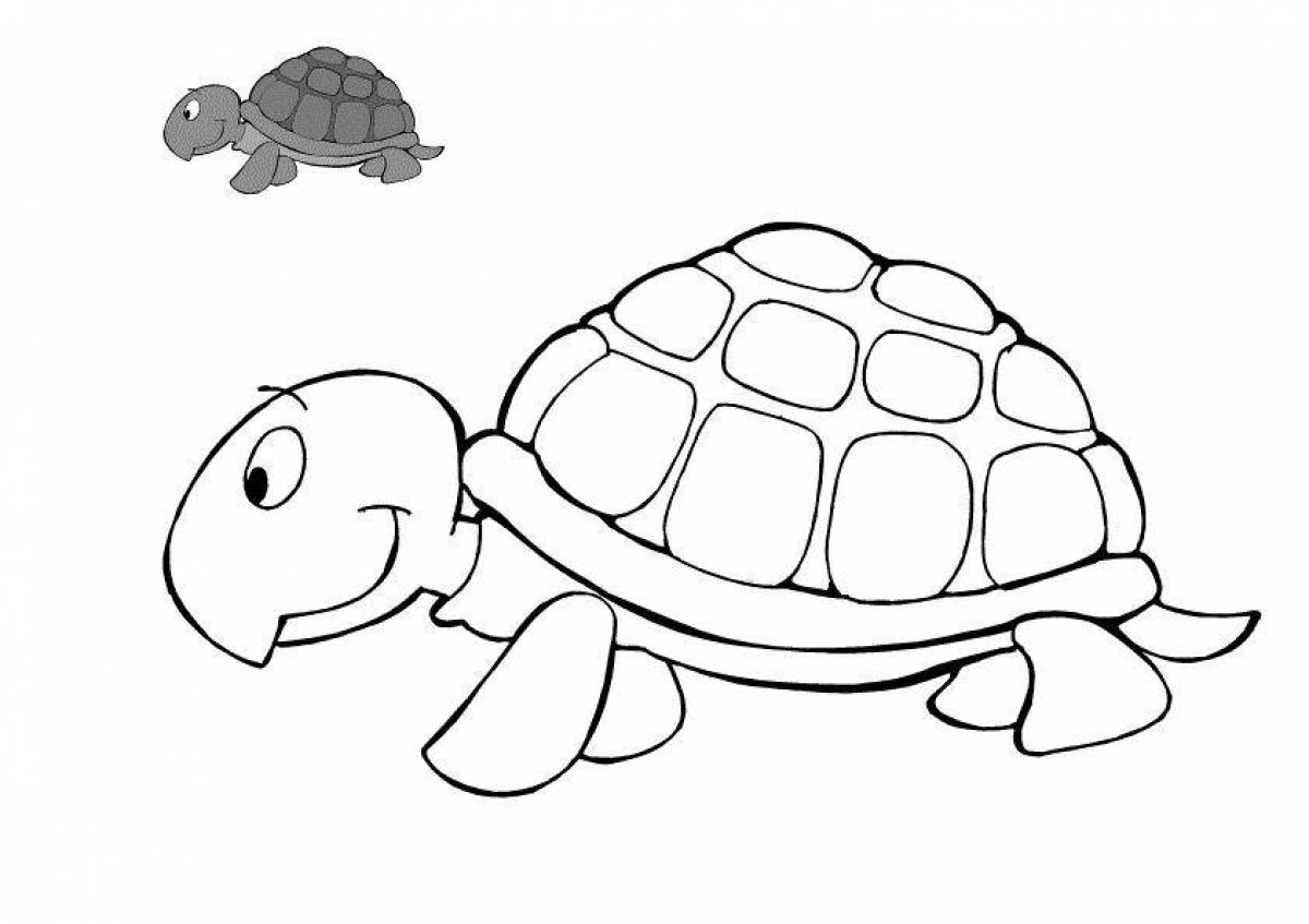 Симпатичная черепаха-раскраска для детей