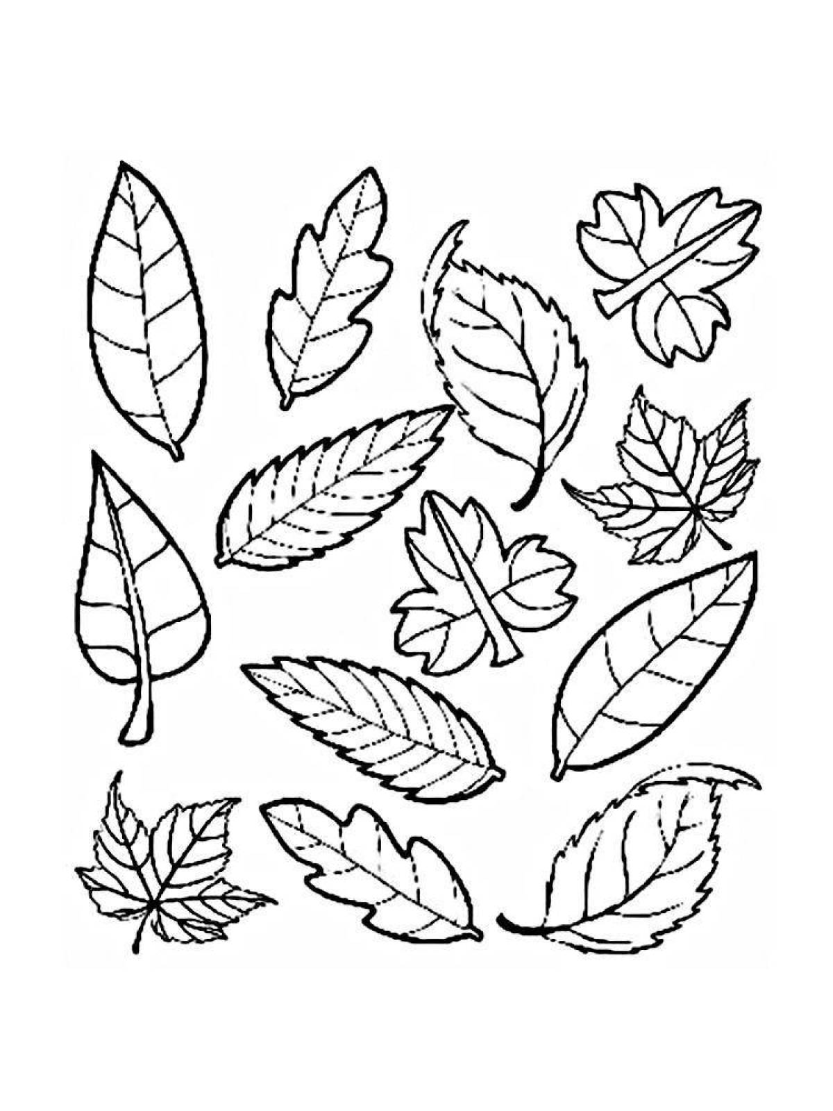 Colorful leaves coloring book for kids