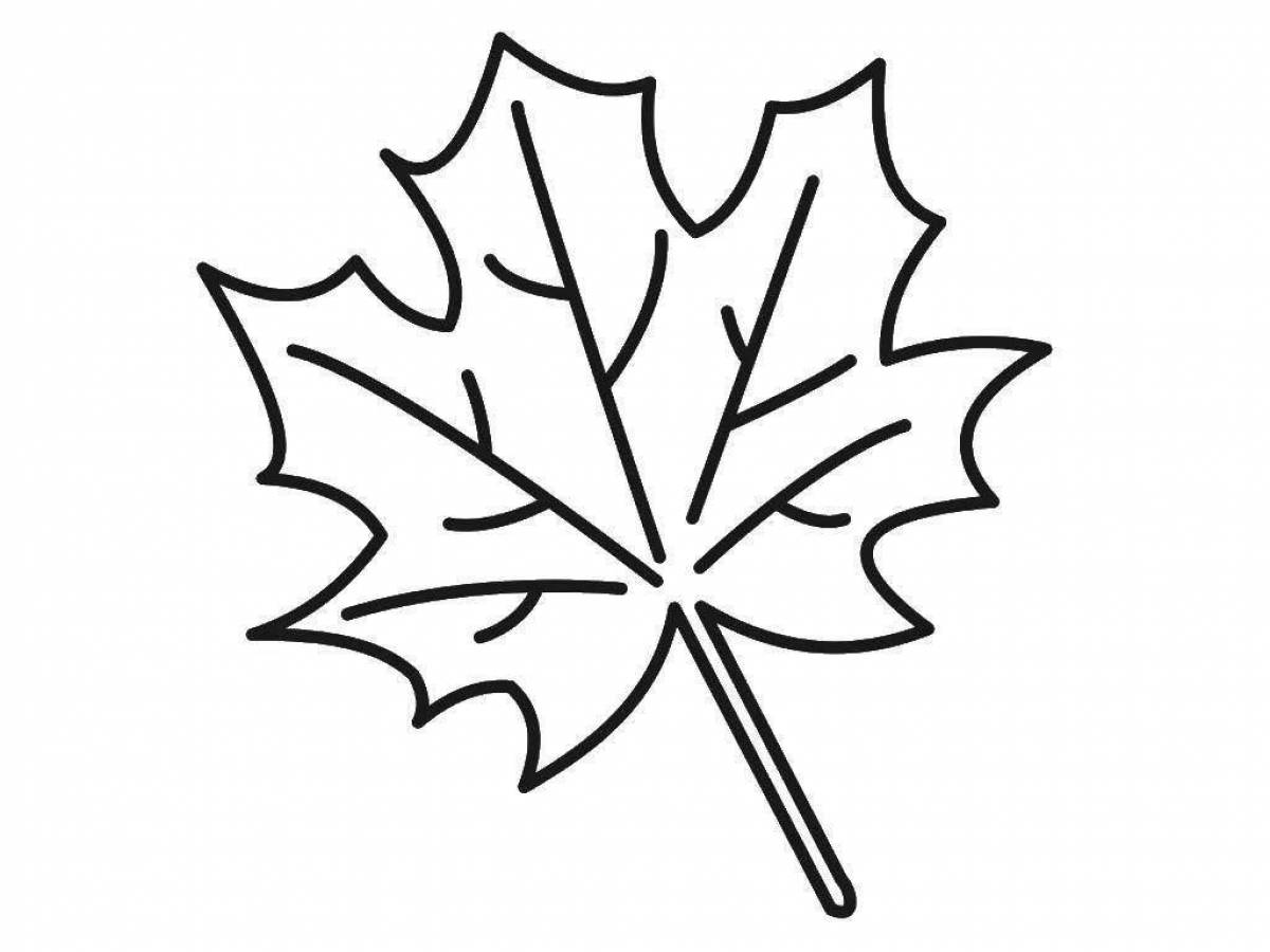 Fun leaf coloring for kids