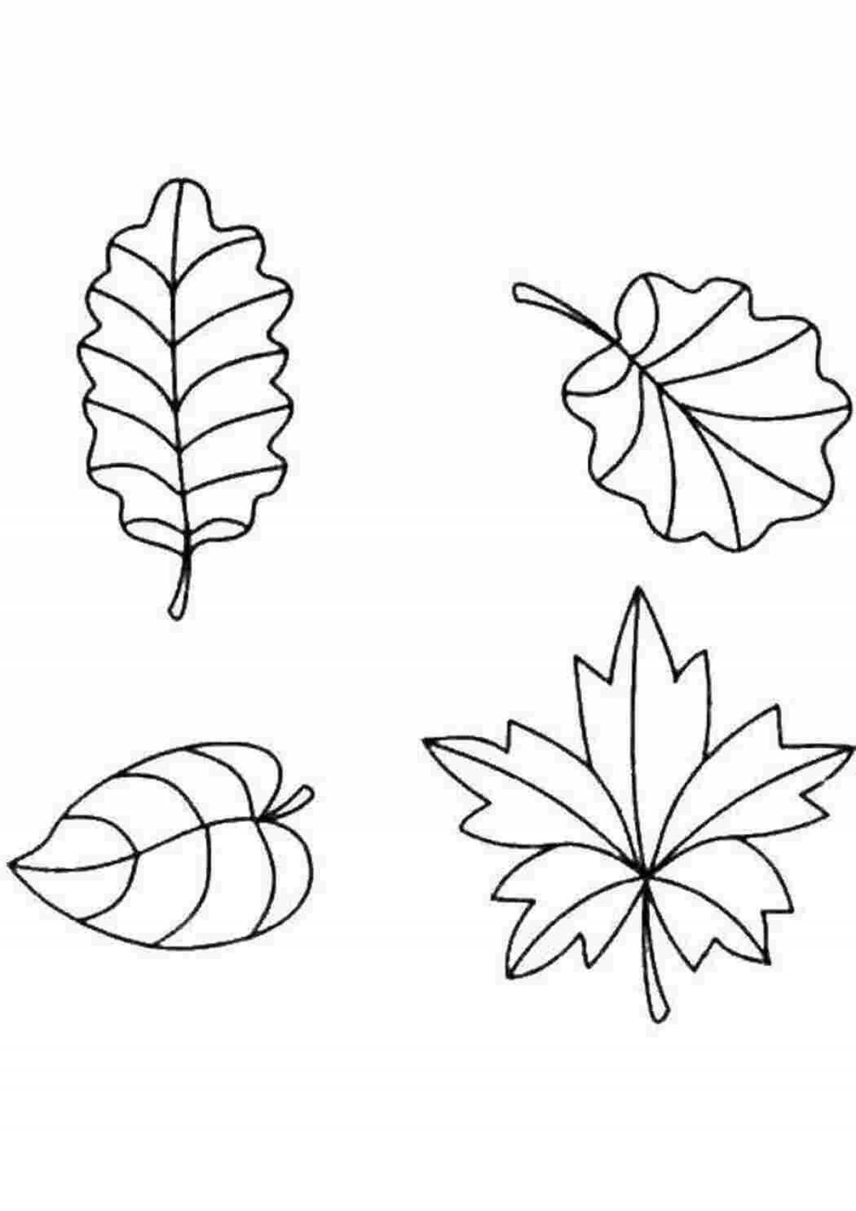 Amazing leaves coloring book for kids