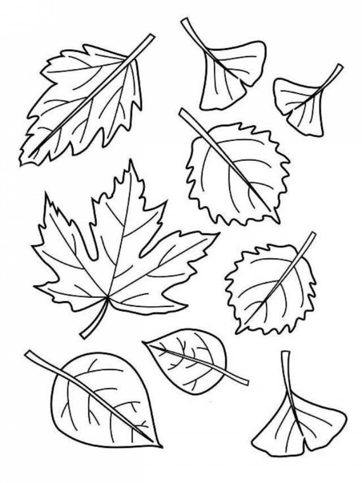 Раскраска жирные листья для детей