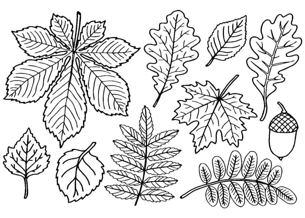Раскраска ослепительные листья для детей