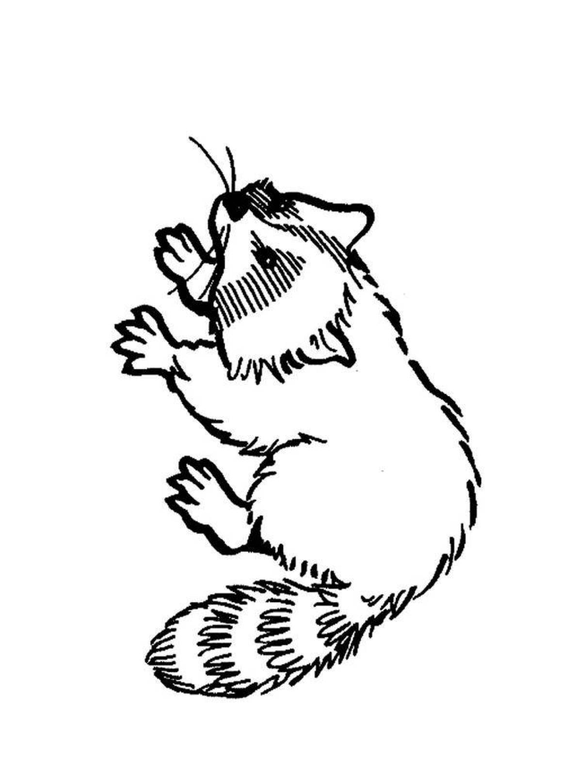 Cute raccoon coloring book