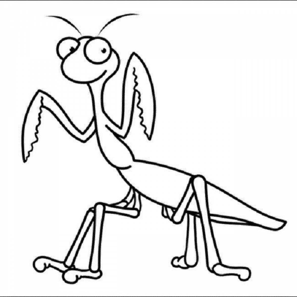 Mantis coloring page