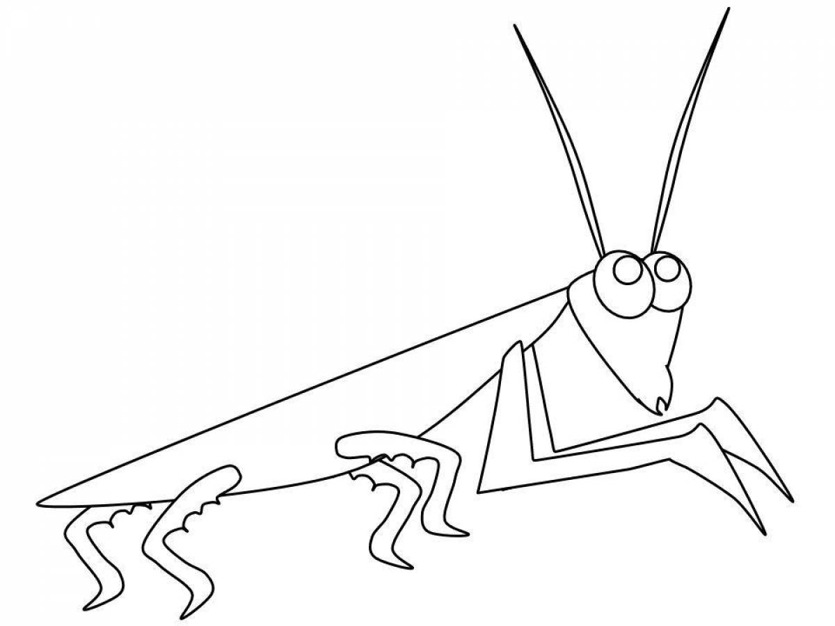 Coloring book adorable praying mantis