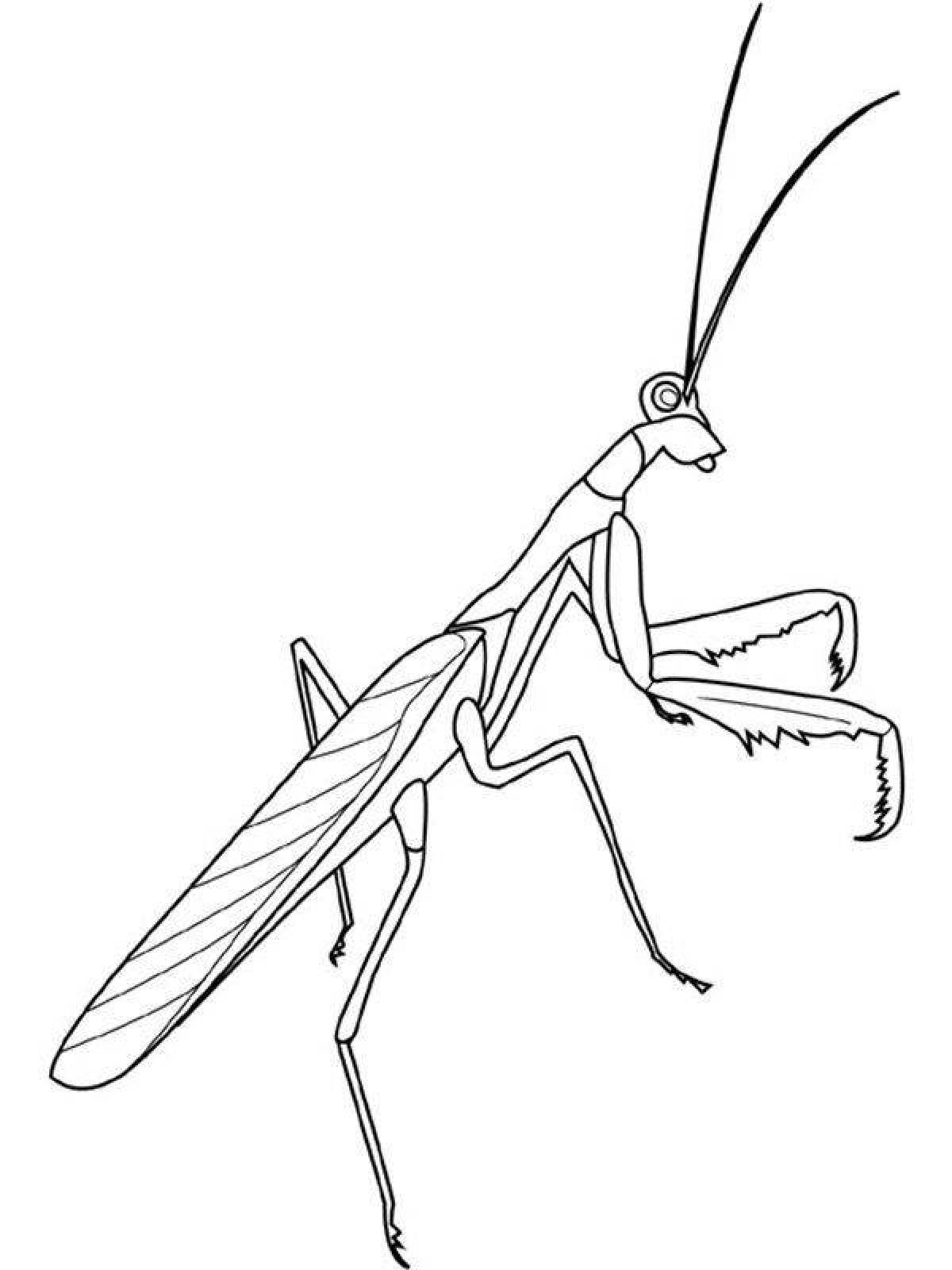 Magic praying mantis coloring page