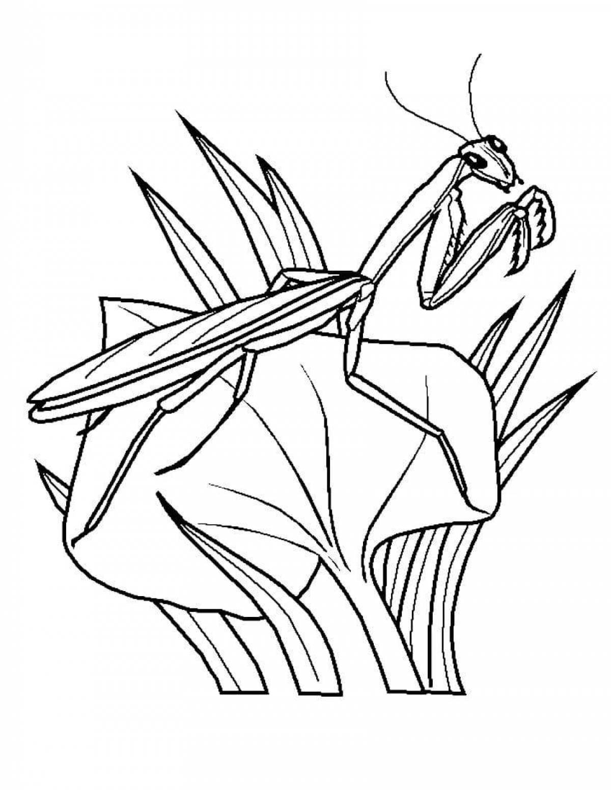 Awesome praying mantis coloring page