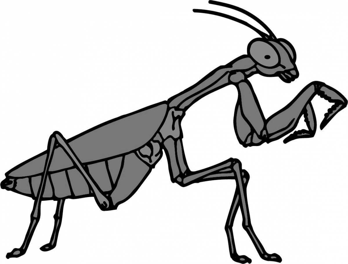 Fabulous praying mantis coloring page