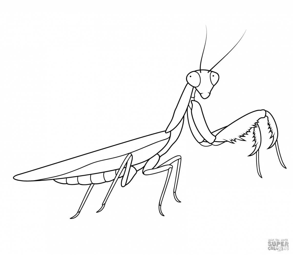 Sweet praying mantis coloring page