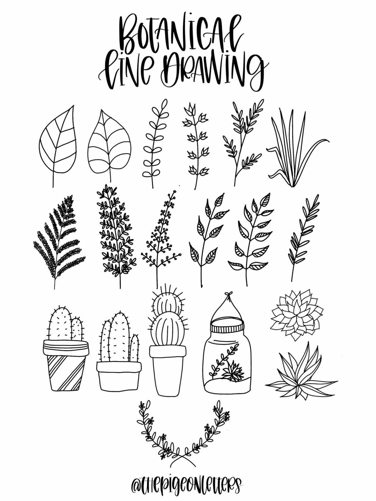 Delicate aesthetics of the coloring page