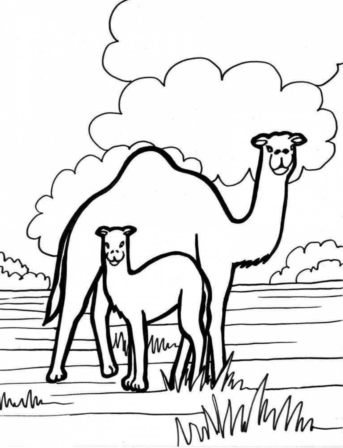 Выдающаяся страница раскраски верблюдов для детей